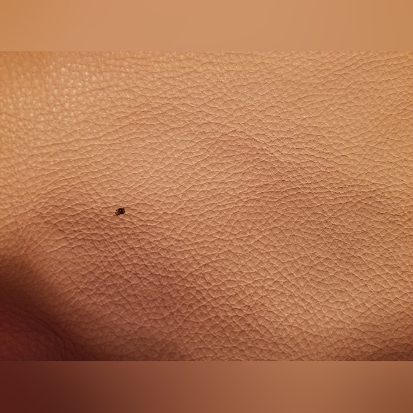 Michael kors reversible tote/shoulder bag - Picture 12 of 12